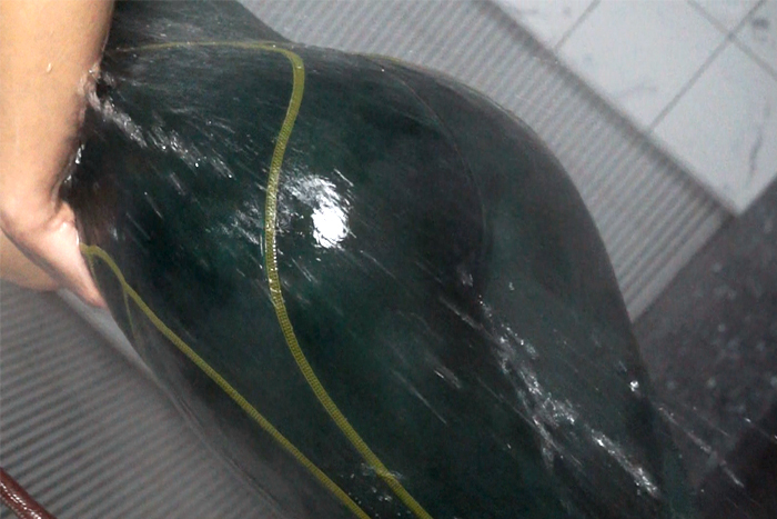 【新特別価格】フルレングス競泳水着エロチカVol.9　サンプル画像07