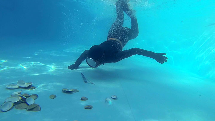 【値下げ商品】【HD】海女ダイバースーツ 漁場のぬたあわび　サンプル画像06