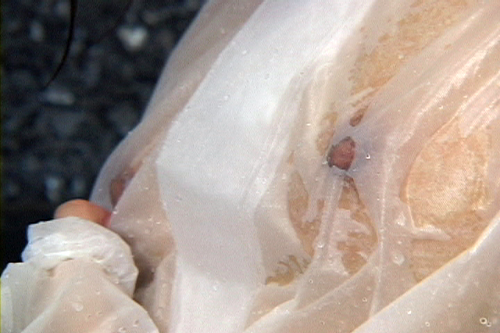 【1000pts!】レインコートマニアックス 16 濃縮!!室内&浴室編 サンプル画像06