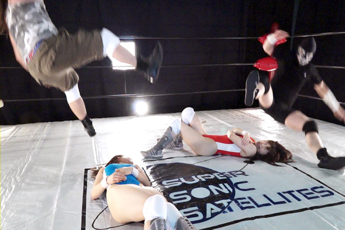 【新特別価格】【HD】PRO-WRES TAG MATCH MIXED Vol.5　サンプル画像11