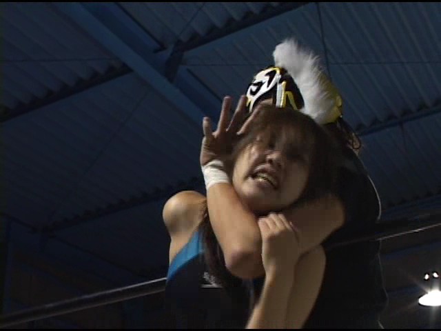 プロスタイルミックス No.15　サンプル画像10