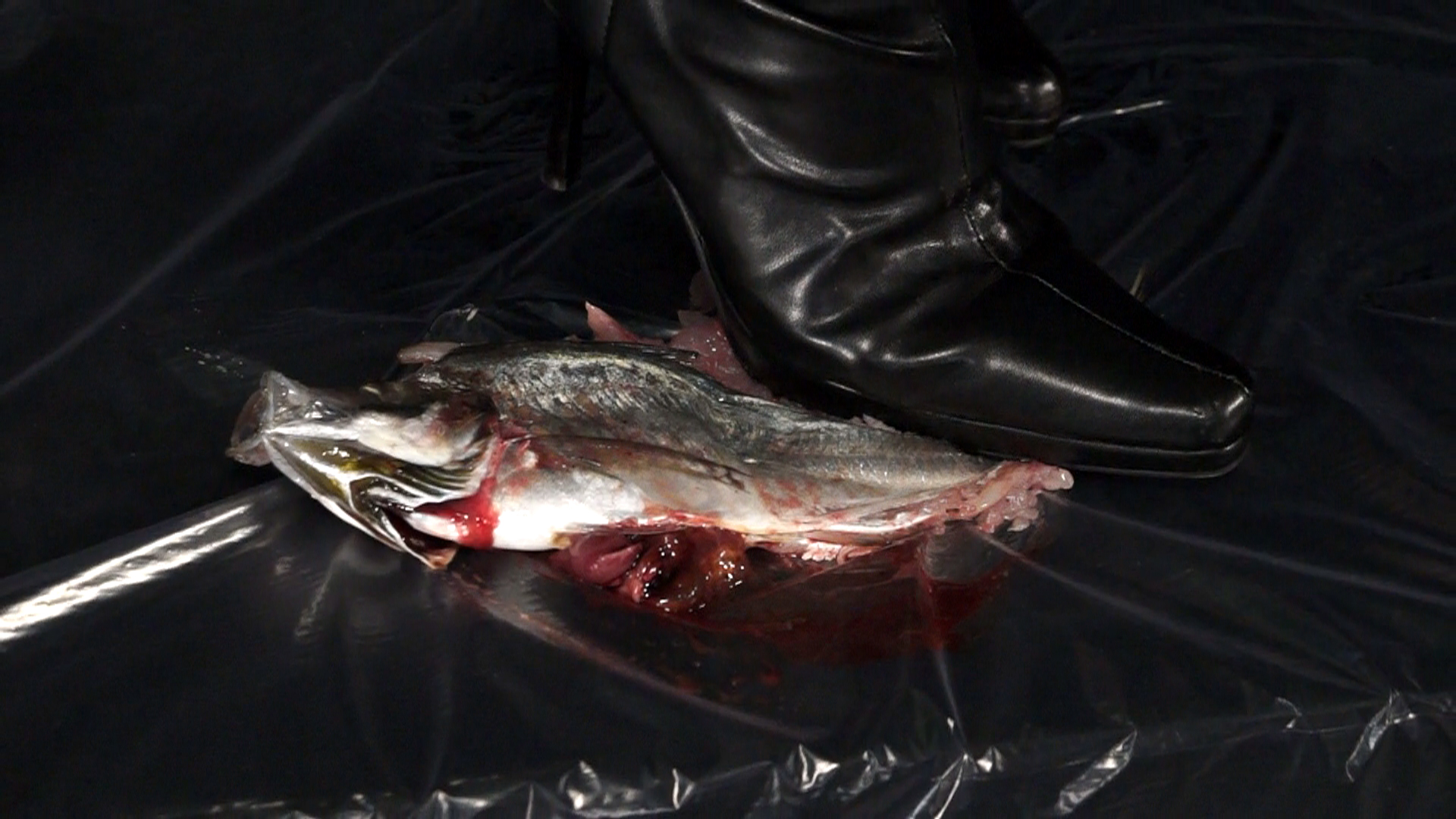 【新特別価格】【HD】踏喰2　サンプル画像05