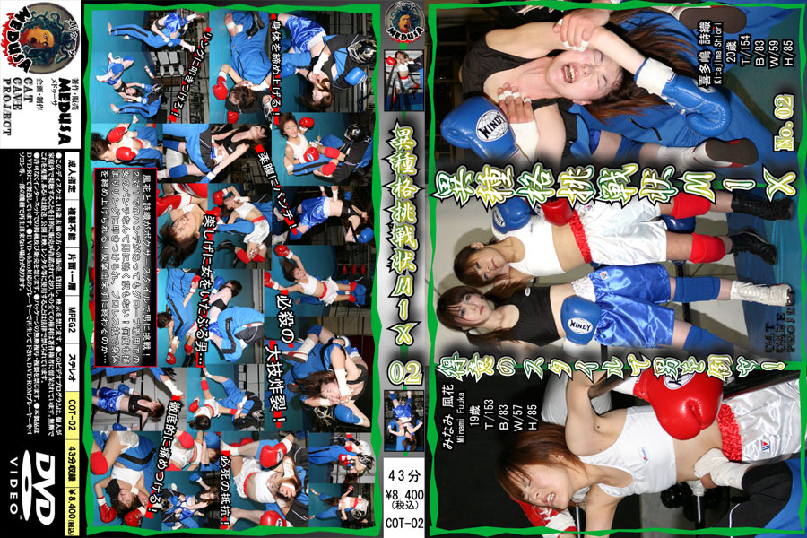 【新特別価格】異種格挑戦状MIX 02 パッケージ画像