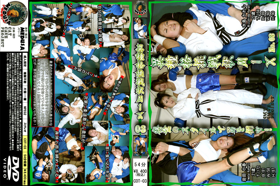 【新特別価格】異種格挑戦状MIX 03　パッケージ画像