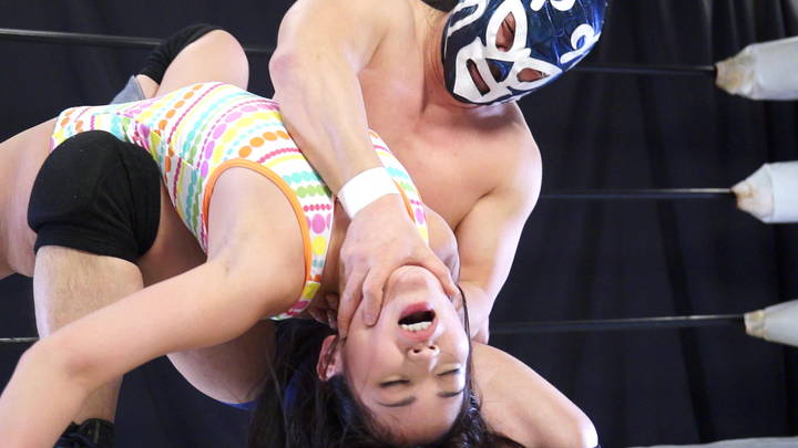 ファイティングガールズ13ミックスファイト&イメージ 赤木ゆう キャットファイト ファイティングガールズ13ミックスファイト&イメージ 赤木ゆう