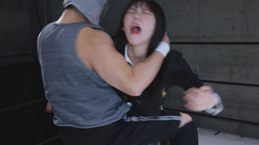 ミックスプロレス　