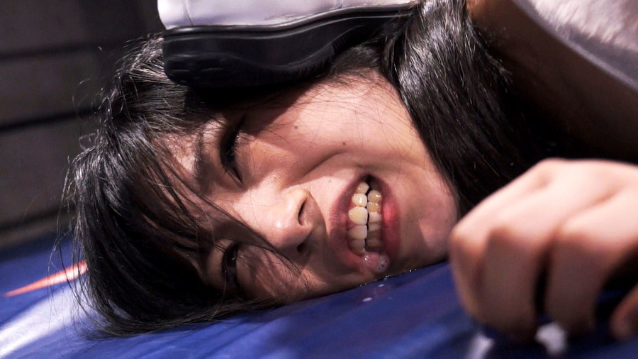 ミックスプロレス