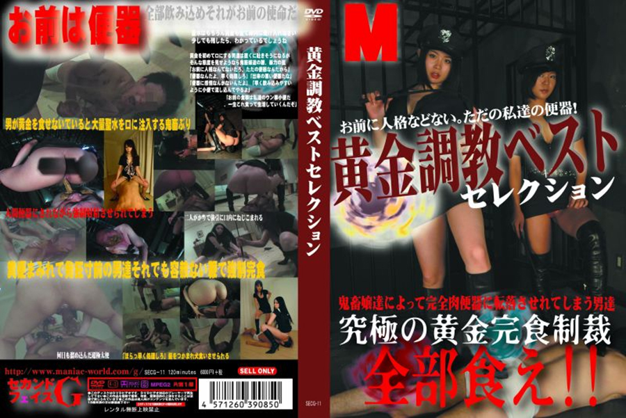 黄金調教ベストセレクション