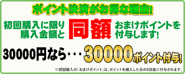 初回購入に限り、購入金額の2倍プレゼントキャンペーン実施中