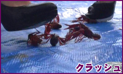 クラッシュ