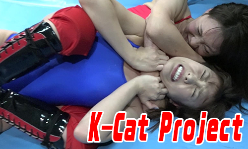 K-Cat Project