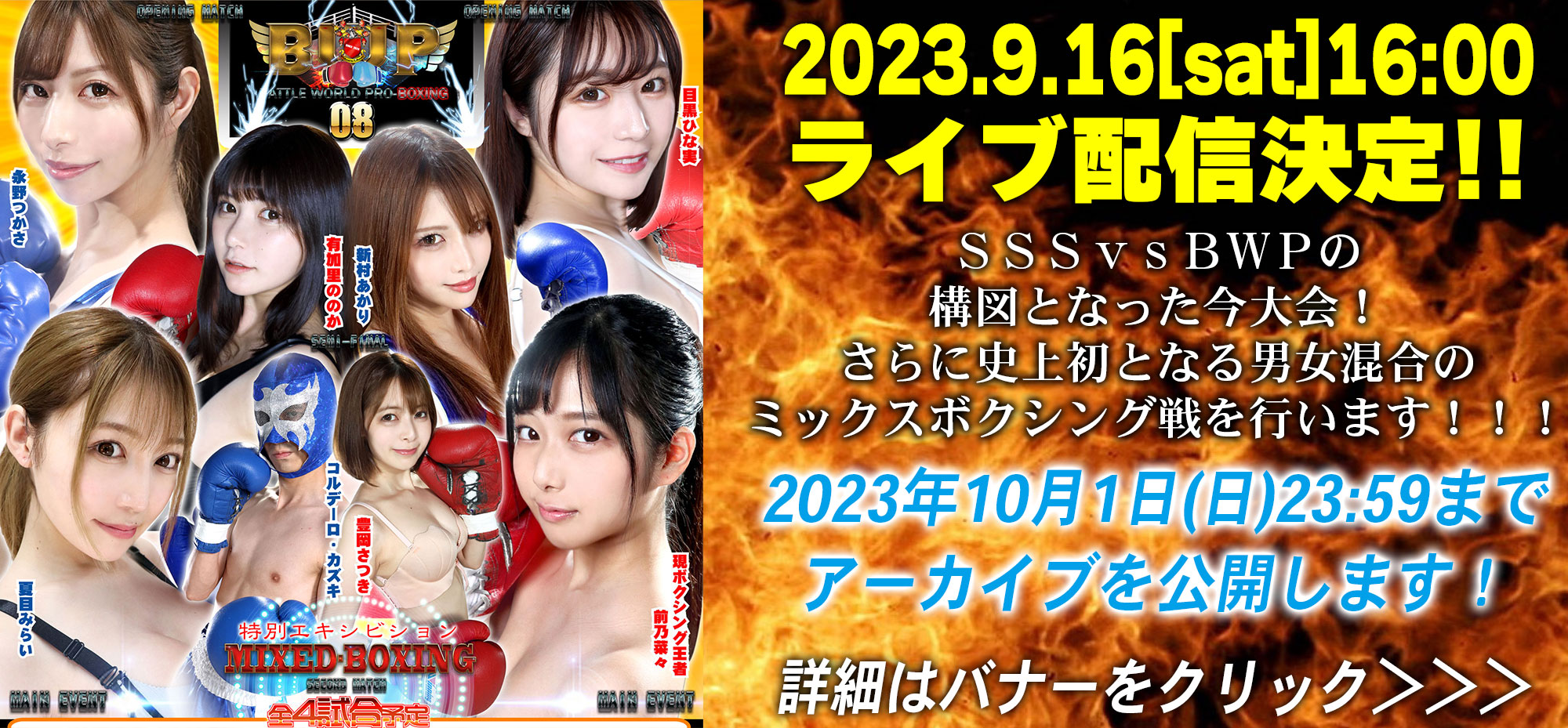 LIVE配信