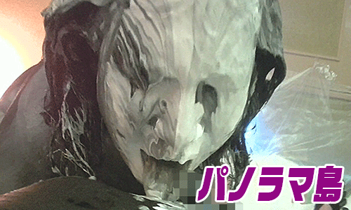 パノラマ島